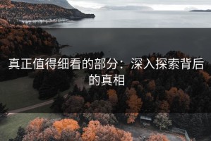 真正值得细看的部分：深入探索背后的真相
