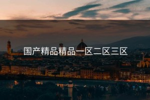 国产精品精品一区二区三区