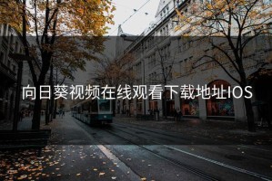 向日葵视频在线观看下载地址IOS