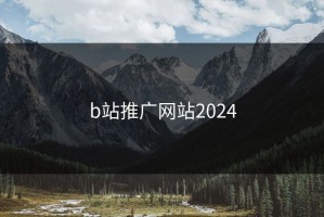 b站推广网站2024