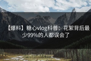 【爆料】糖心vlog科普：花絮背后最少99%的人都误会了