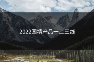 2022国精产品一二三线