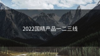 2022国精产品一二三线