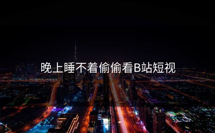 晚上睡不着偷偷看B站短视