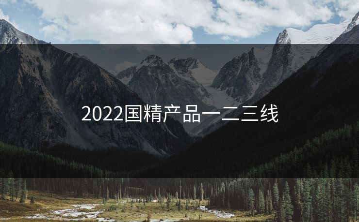 2022国精产品一二三线
