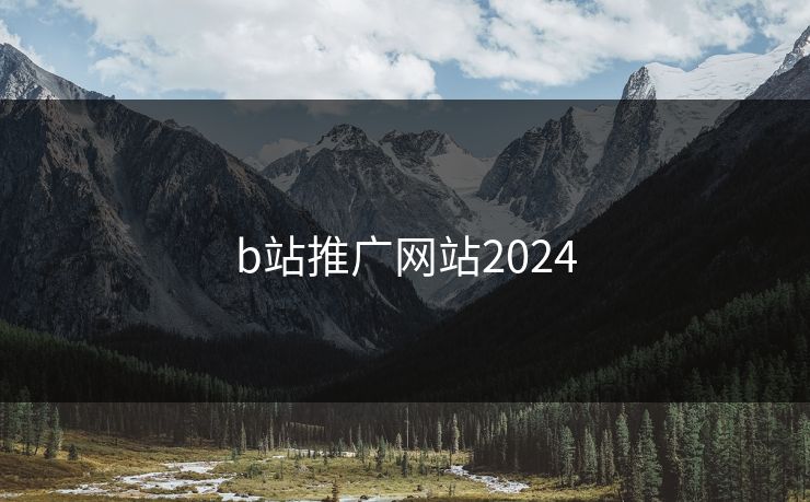 b站推广网站2024